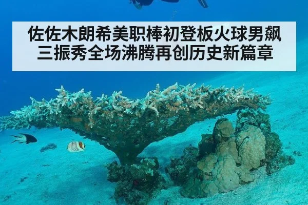 佐佐木朗希美职棒初登板火球男飙三振秀全场沸腾再创历史新篇章